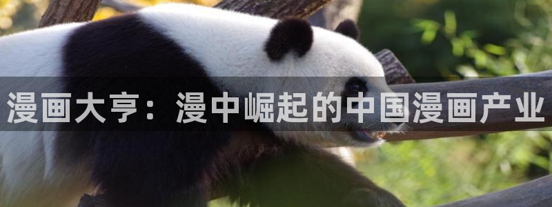 歪歪的漫画免费在线观看：漫画大亨：漫中崛起的中国漫画产业