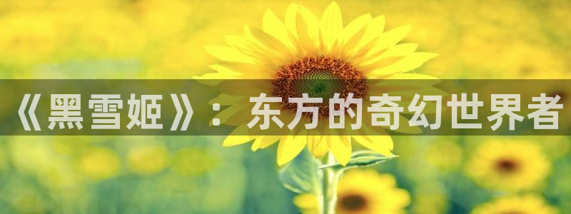 yy漫画18：《黑雪姬》：东方的奇幻世界者