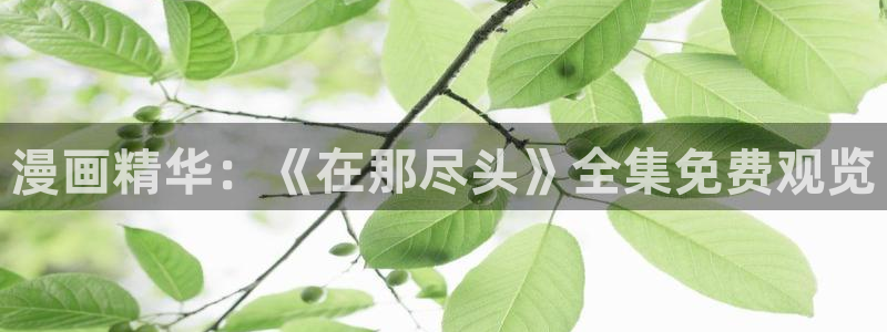 b哔哩哔哩漫画：漫画精华：《在那尽头》全集免费观览