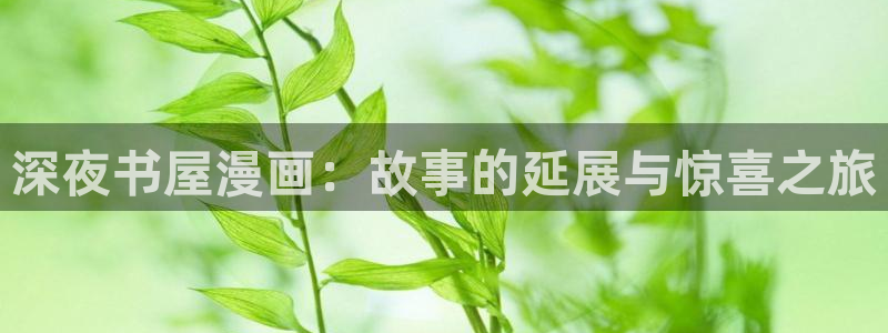 羞羞漫画女神漫画网：深夜书屋漫画：故事的延展与惊喜之旅